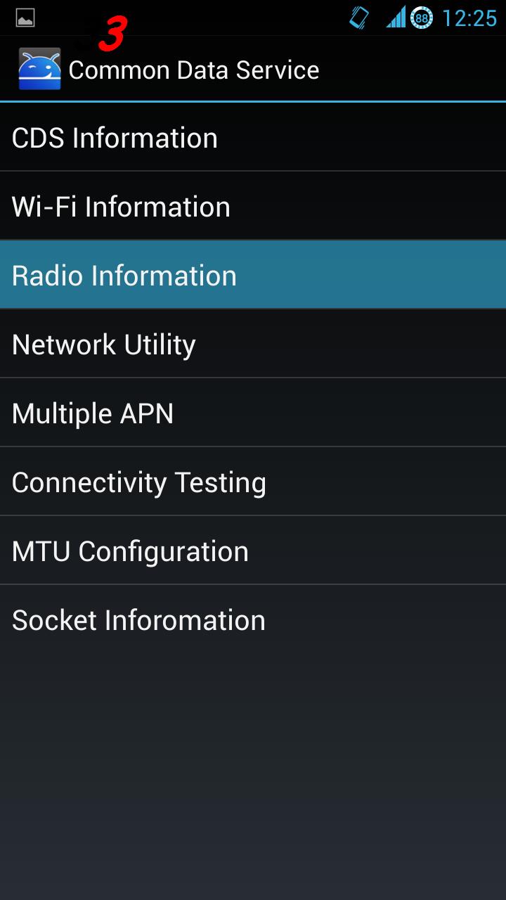 Lalu pilih kembali Radio Information dan pilih Phone 1