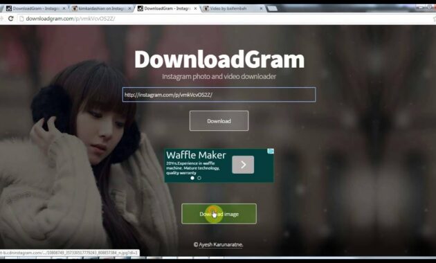 Menggunakan DownloadGram