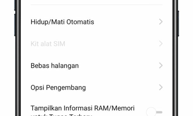 Scroll ke bawah untuk mencari opsi Cadangkan dan Reset