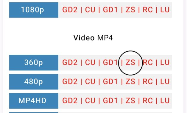 Selanjutnya pilih format dan kualitas video yang Anda inginkan. Untuk formatnya sendiri